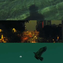 IMG_0324