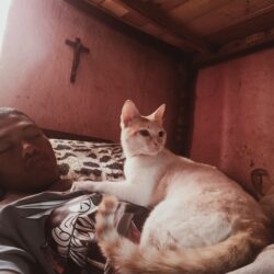 IMG20251029112209_00