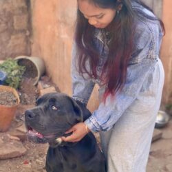 att.SETjZJNTk3e6ojSYCRGyU_LNADgUJPveZ4JjZqkDSYs