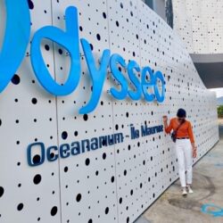 82c1c47d-91d8-4178-8cde-e9e7f3bab083