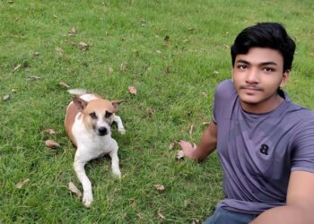 I love pets