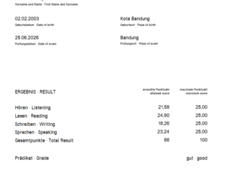 Goethe A1 Certificate