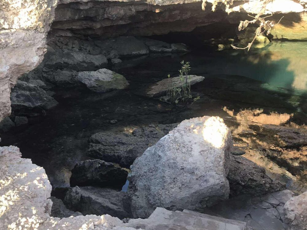 assanallyrakotomalala1