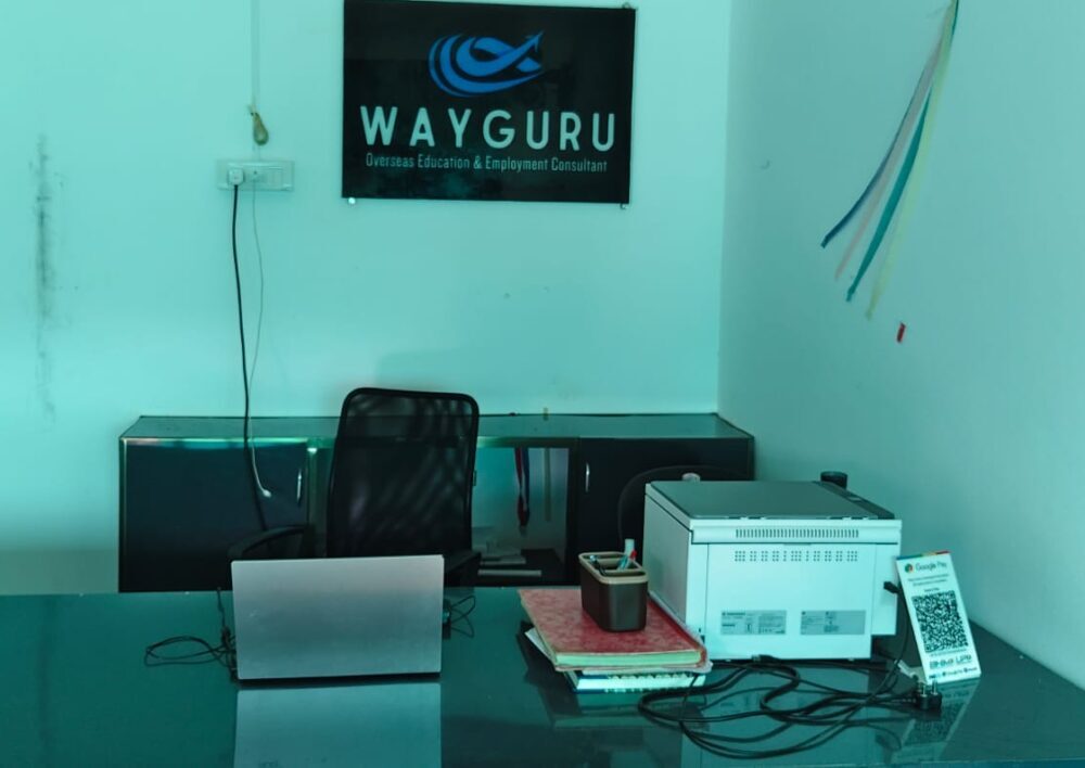 Wayguru Overseas